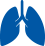 Lung Icon