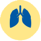 Lung Icon